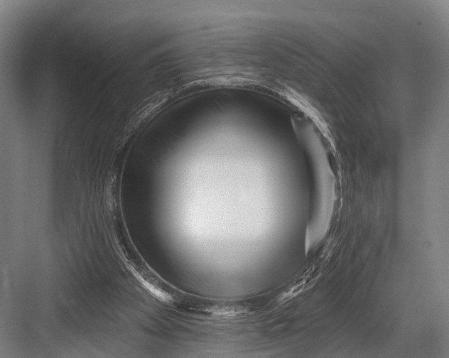 X0000082730105200702161917