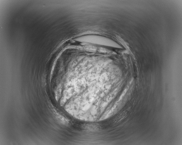 X0000082730106200702161917