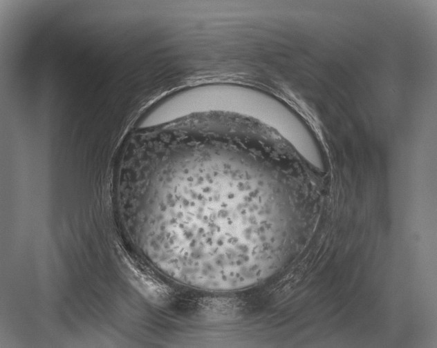 X0000082730107200702161917