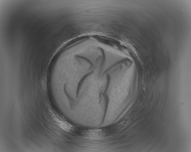 X0000082730108200702161917