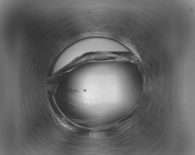 X0000082730109200702161917