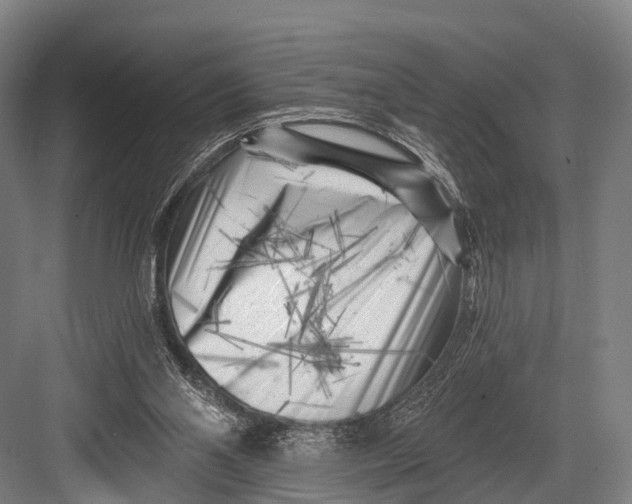 X0000082730110200702161917