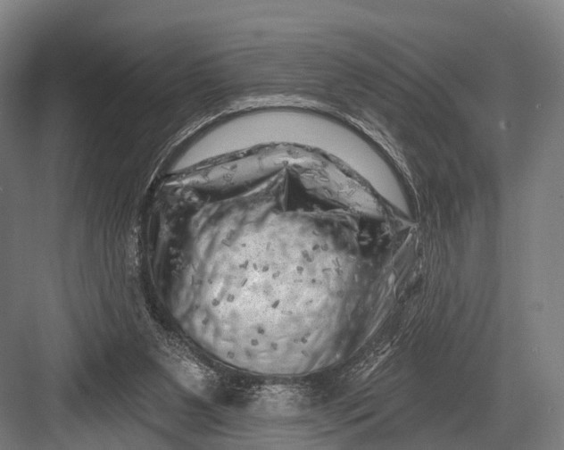 X0000082730111200702161917