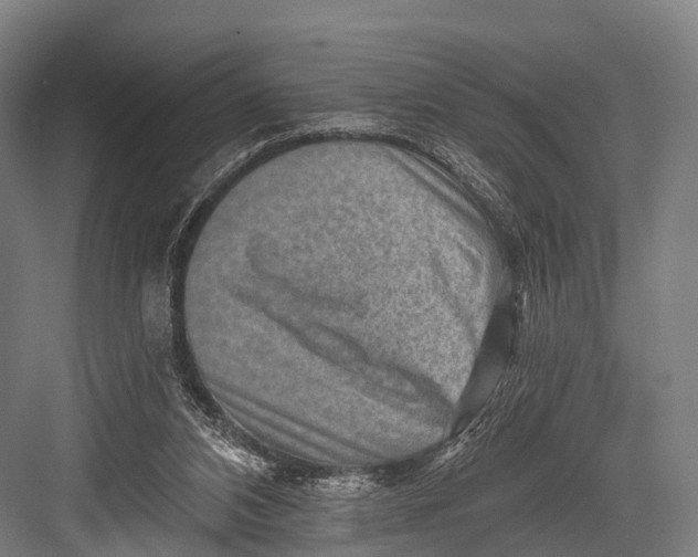 X0000082730112200702161917