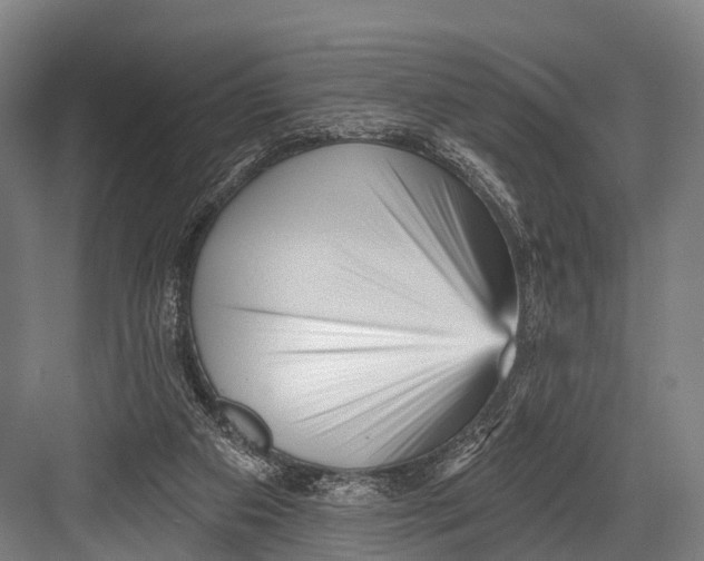 X0000082730113200702161917