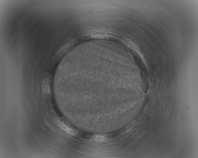 X0000082730114200702161917