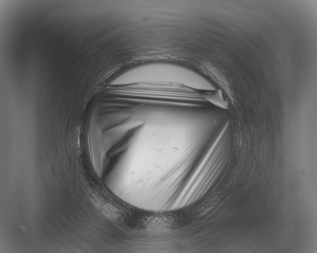 X0000082730115200702161917