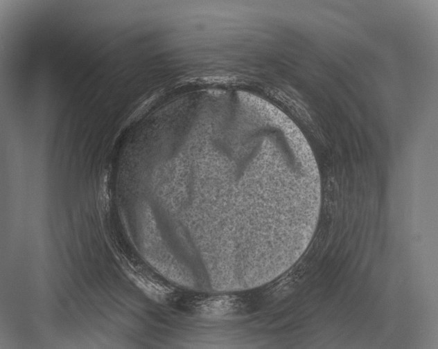 X0000082730116200702161917