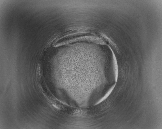 X0000082730117200702161917