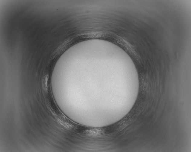 X0000082730118200702161917