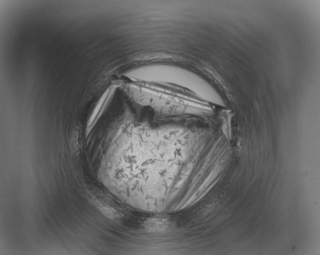 X0000082730119200702161917