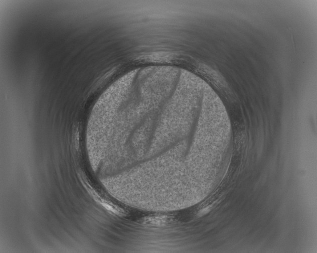 X0000082730120200702161917