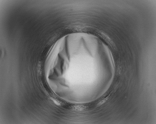 X0000082730121200702161917