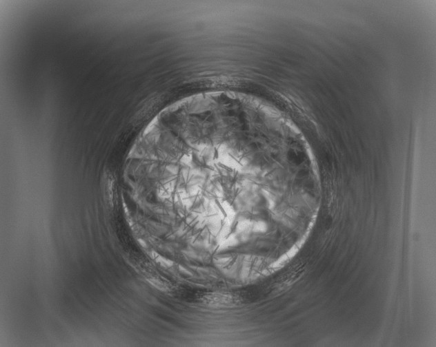 X0000082730123200702161917