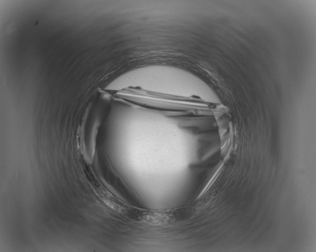 X0000082730125200702161917