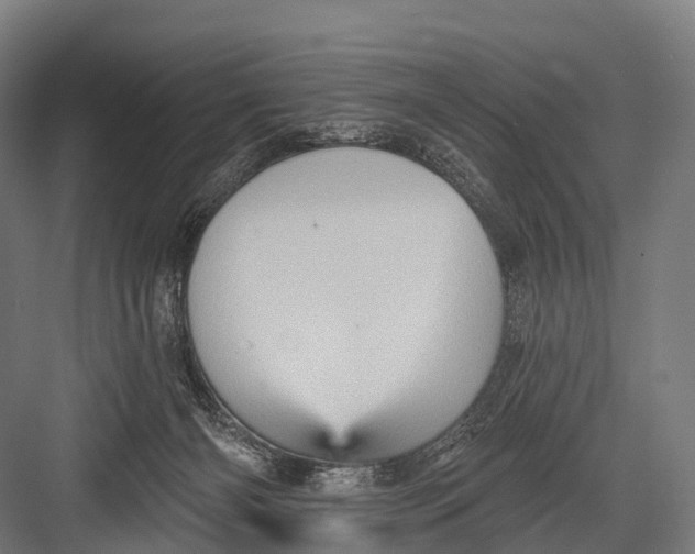 X0000082730126200702161917