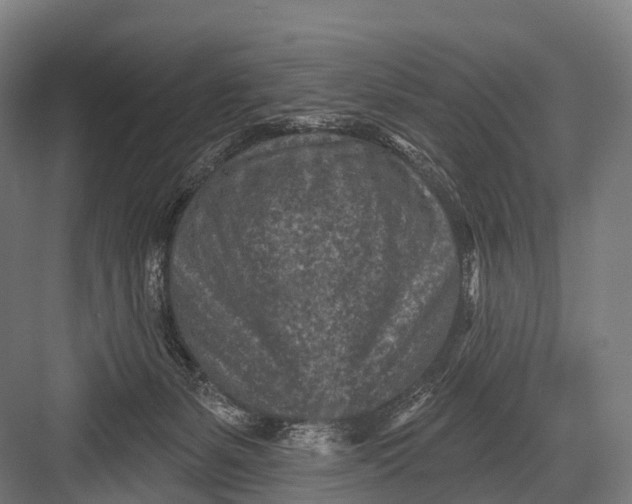 X0000082730127200702161917