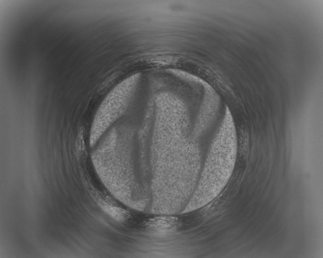 X0000082730128200702161917