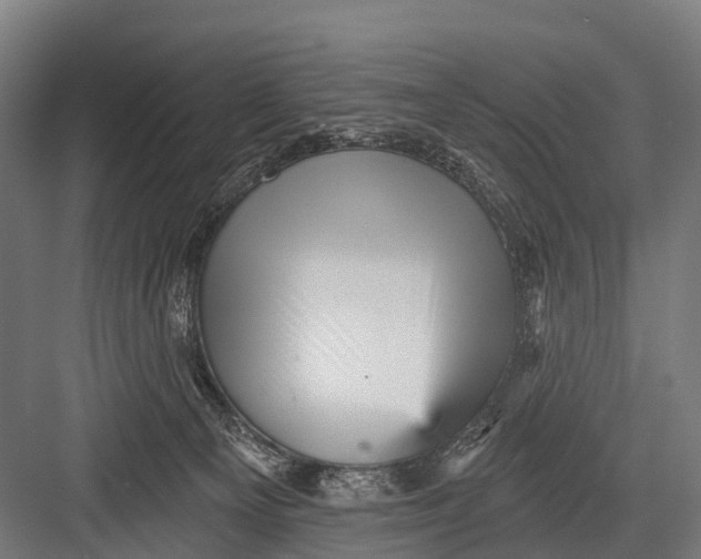 X0000082730129200702161917