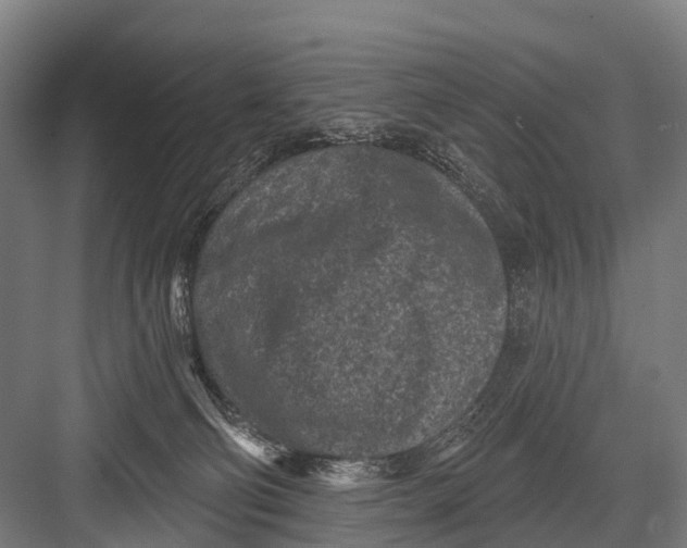 X0000082730130200702161917