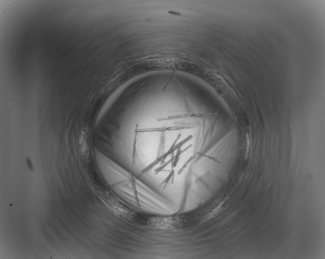 X0000082730131200702161917