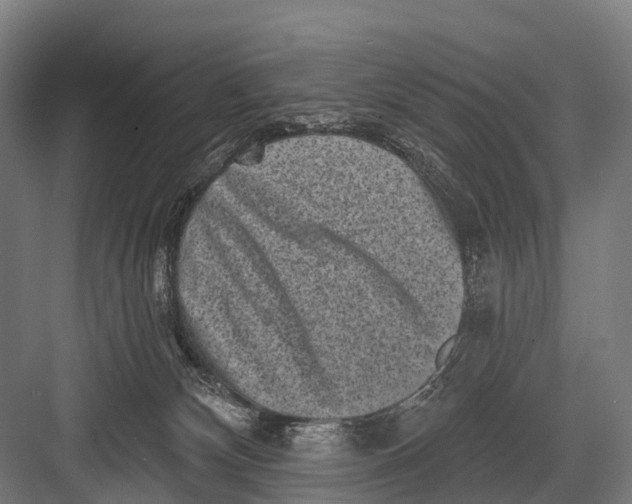 X0000082730132200702161917