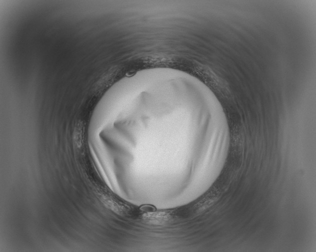 X0000082730133200702161917