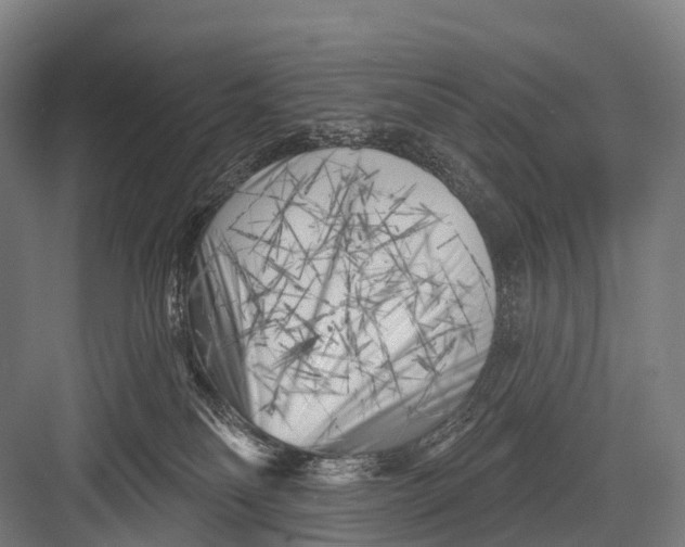 X0000082730134200702161917