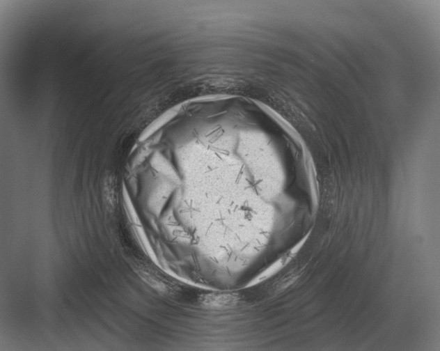 X0000082730135200702161917