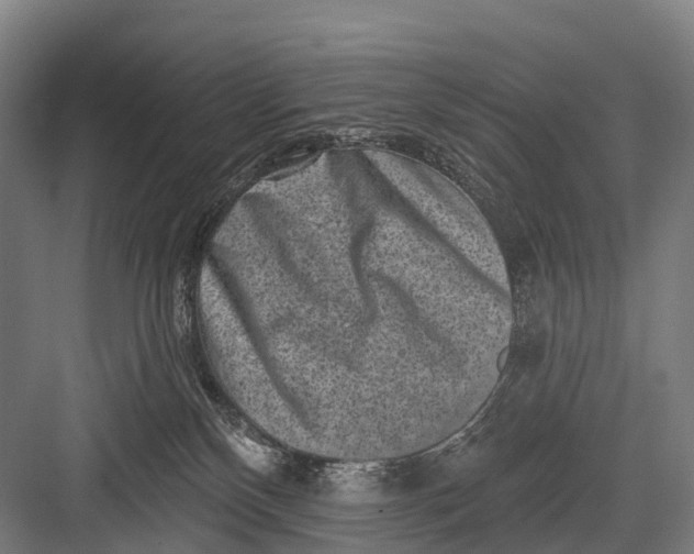 X0000082730136200702161917