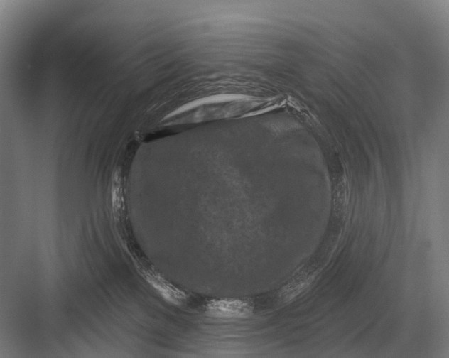 X0000082730137200702161917