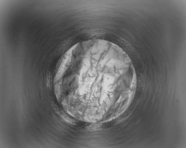 X0000082730138200702161917