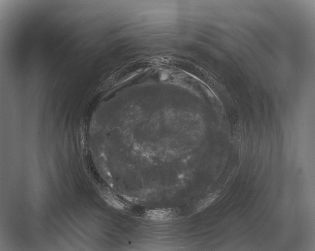 X0000082730139200702161917