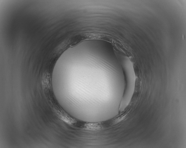 X0000082730141200702161917