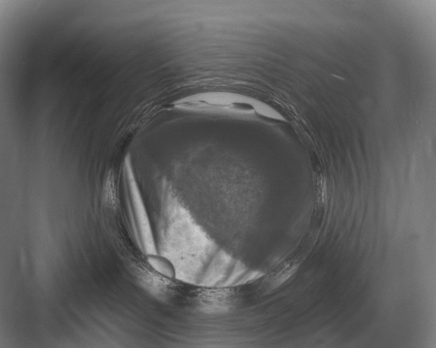 X0000082730143200702161917