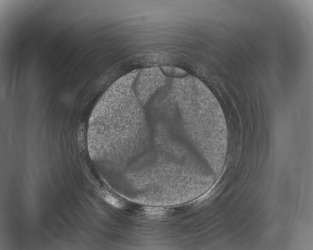 X0000082730144200702161917