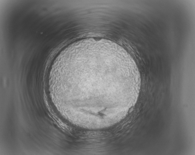 X0000082730145200702161916