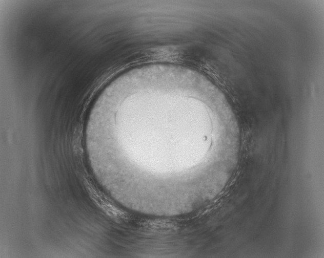 X0000082730146200702161916