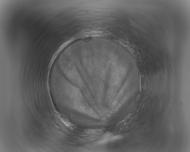 X0000082730147200702161916