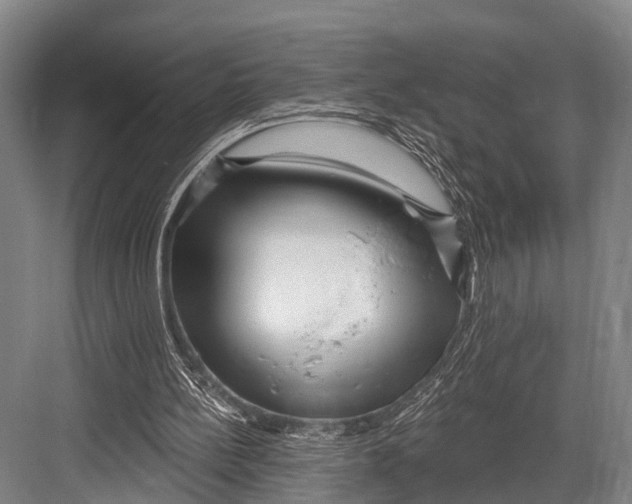 X0000082730148200702161916