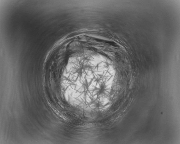 X0000082730149200702161916