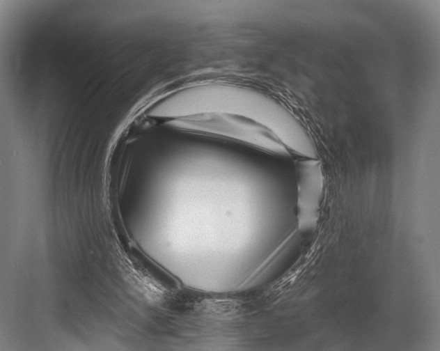 X0000082730150200702161916