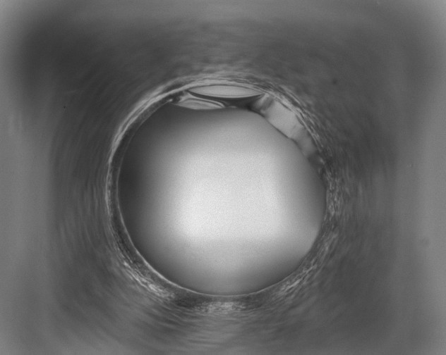 X0000082730152200702161916