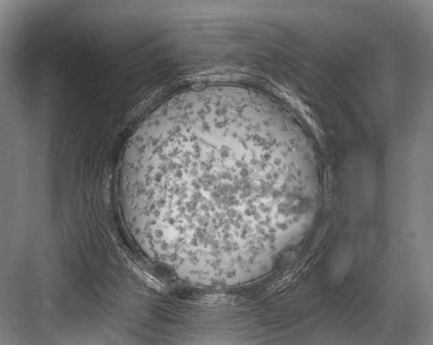 X0000082730153200702161916