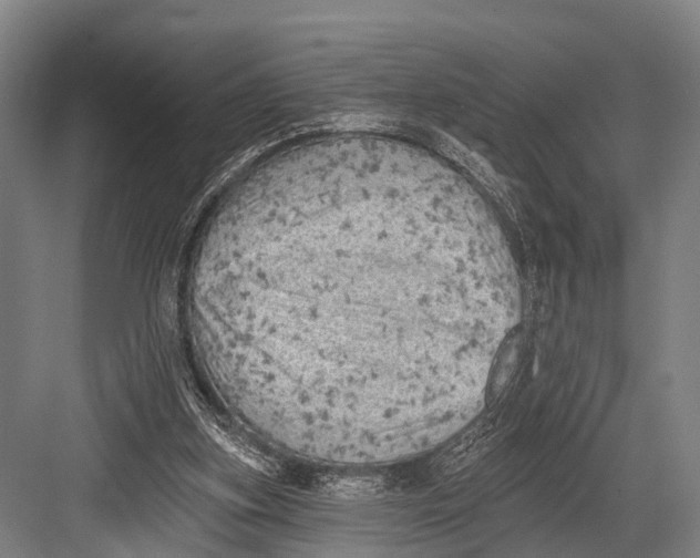 X0000082730155200702161916