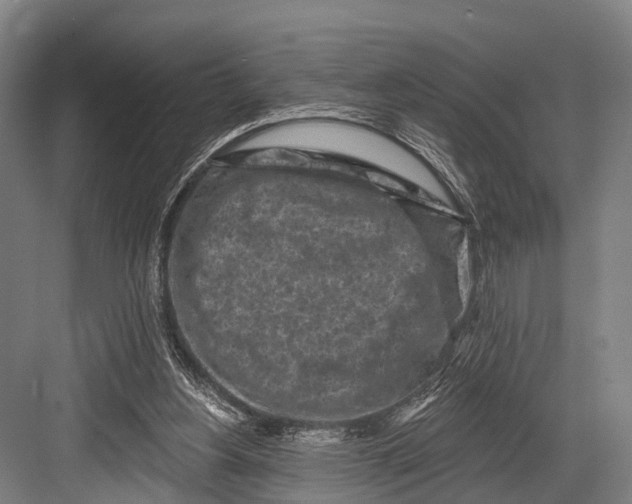 X0000082730156200702161916