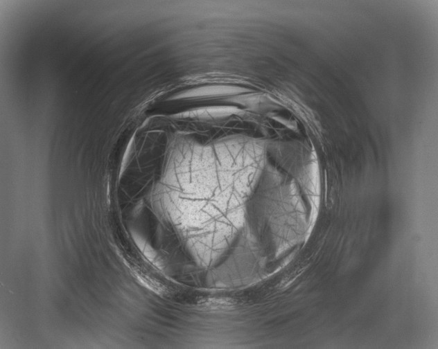 X0000082730157200702161916