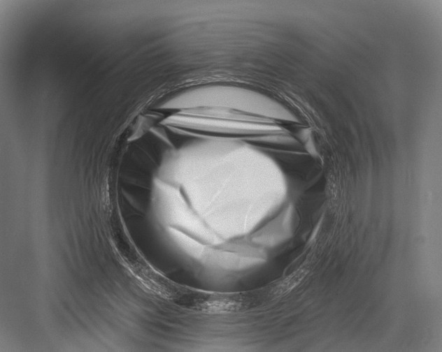 X0000082730158200702161916