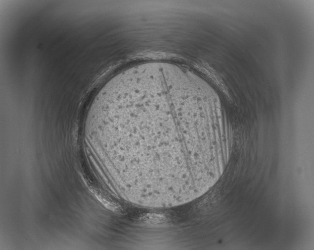 X0000082730159200702161916