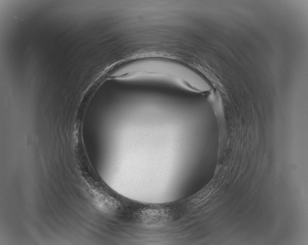 X0000082730160200702161916